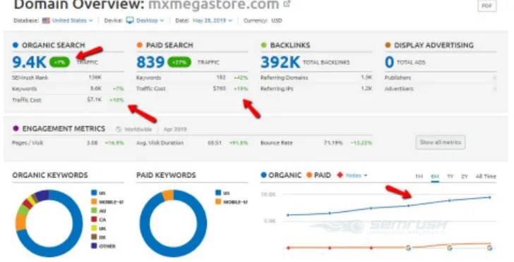 SEMrush domain overview during the campaign